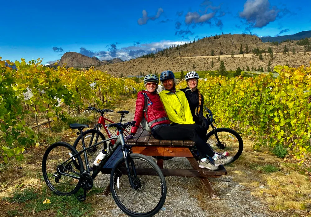 Three friends enjoy a bike ride in a scenic vineyard, with rows of grapevines stretching out under the bright blue sky.
