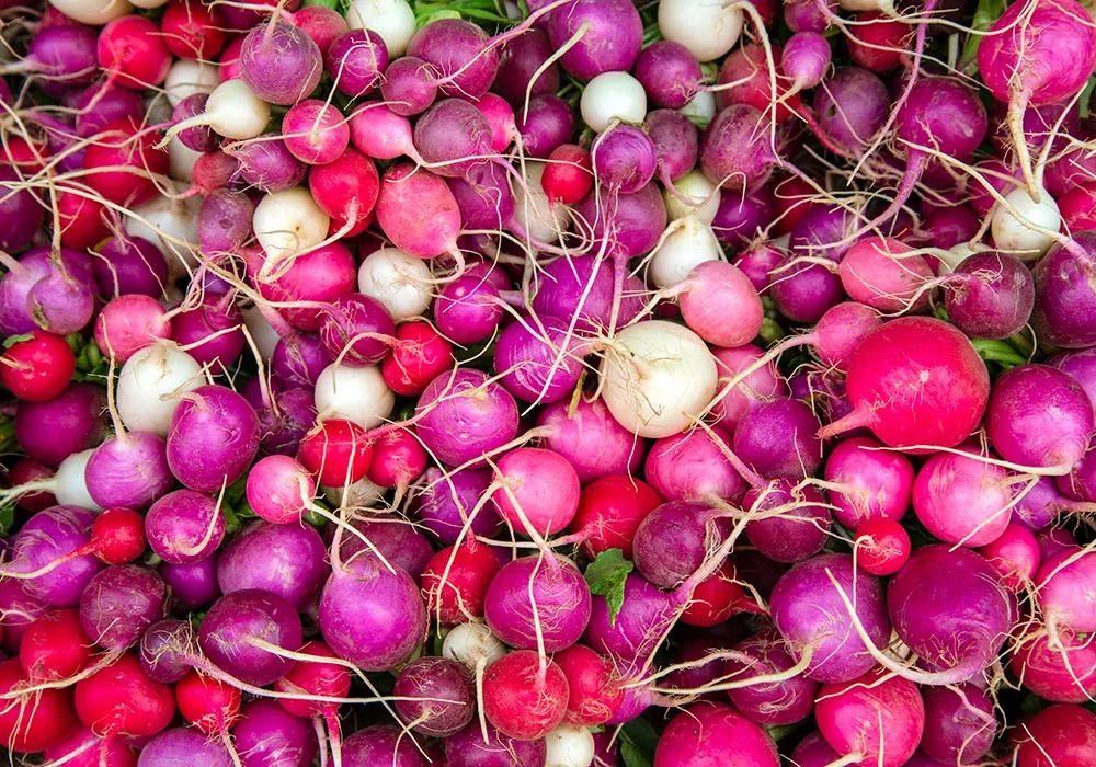 A colorful display of fresh radishes stacked high at a bustling market, showcasing their bright red hue.