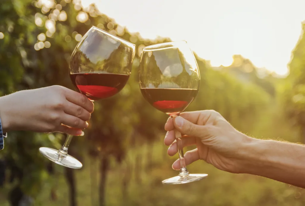 A joyful toast between two people with wine glasses, set against the backdrop of a scenic vineyard.