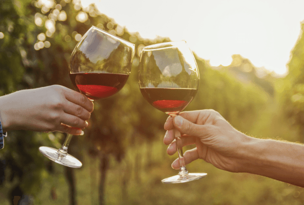 A joyful toast between two people with wine glasses, set against the backdrop of a scenic vineyard.