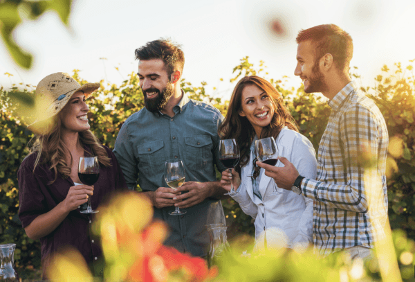 four people with wine glass in hand