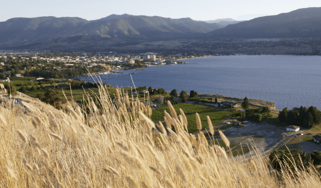 Stunning vista of mountains and a calm lake seen from a hill, perfect for nature lovers and outdoor enthusiasts.