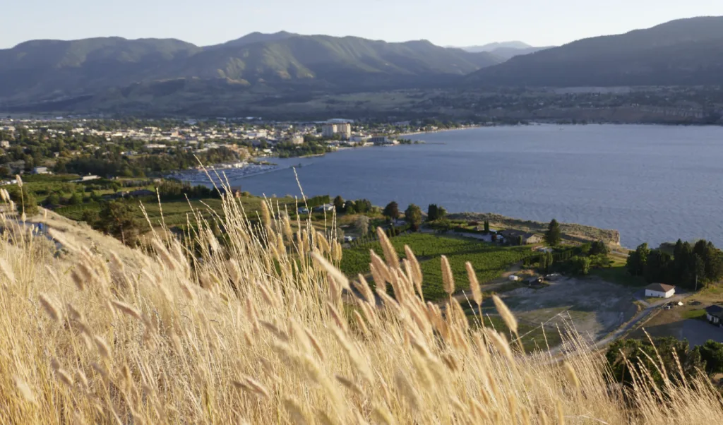 Stunning vista of mountains and a calm lake seen from a hill, perfect for nature lovers and outdoor enthusiasts.